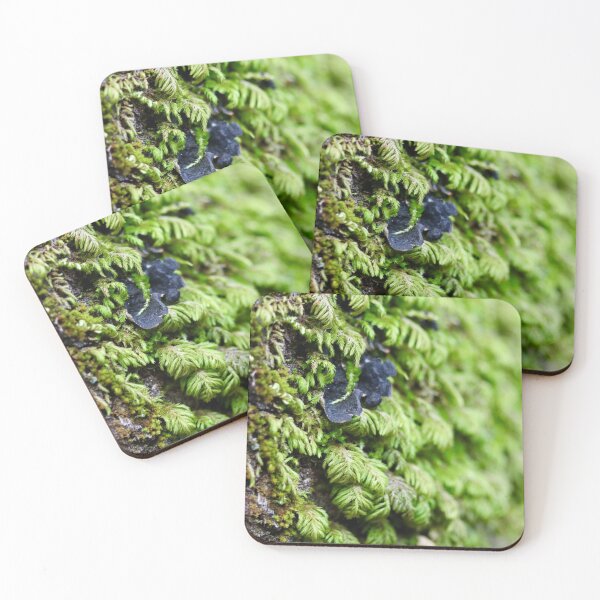 Item preview, Forest Moss designed and sold by Emmaline Jones.