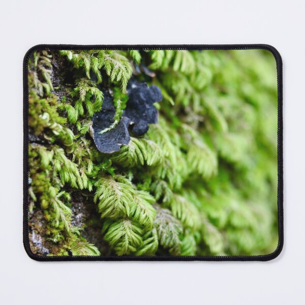 Item preview, Forest Moss designed and sold by Emmaline Jones.