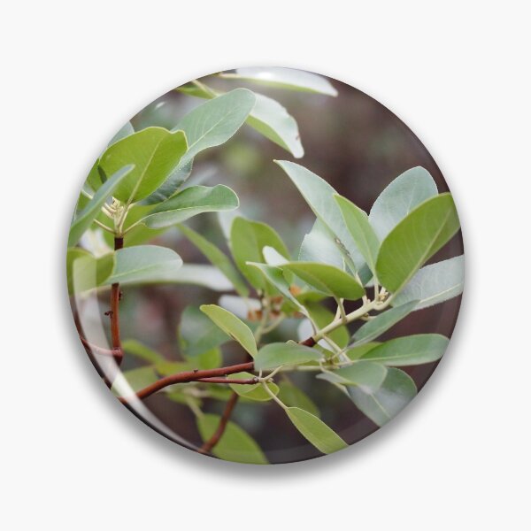 Item preview, Madrone Leaves designed and sold by Emmaline Jones.