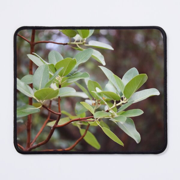 Item preview, Madrone Leaves designed and sold by Emmaline Jones.