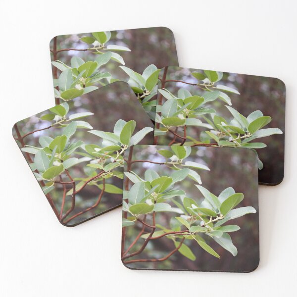 Item preview, Madrone Leaves designed and sold by Emmaline Jones.