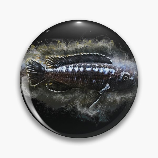 Item preview, Cobalt orange perch - Melanochromis johanni designed and sold by AquariumLutter.