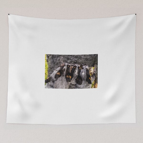 Item preview, 12616 4 pups designed and sold by pcfyi.