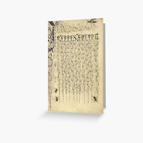 Item preview, Naturalist Manuscript: Insects and Calligraphy Illumination - Crane Fly and Ants  by Joris Hoefnagel designed and sold by Naturalist Prints.