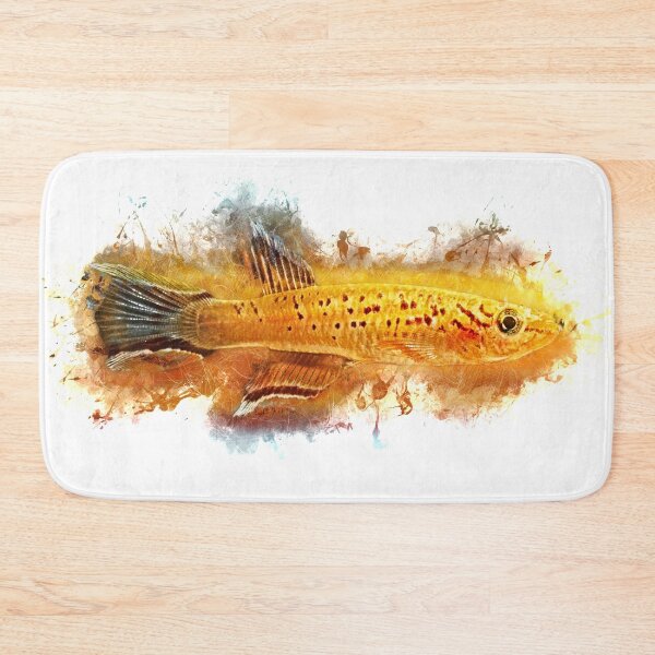 Aperçu de l'œuvre Cape Lopez Magnifique Karpfling Gold - Aphyosemion australe créée et vendue par AquariumLutter.