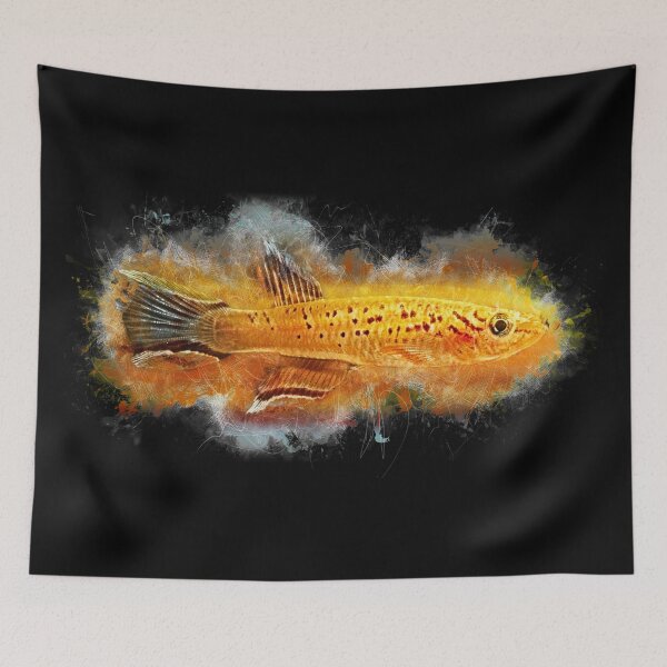 Item preview, Cape Lopez Magnificent Karpfling Gold - Aphyosemion australe designed and sold by AquariumLutter.