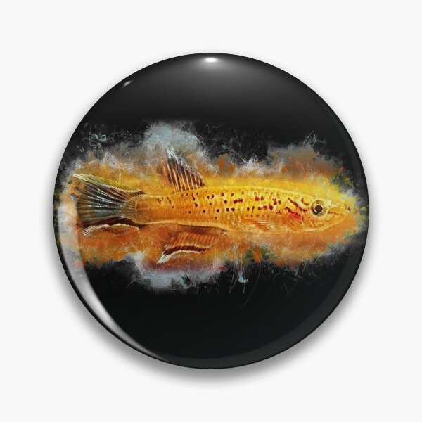 Item preview, Cape Lopez Magnificent Karpfling Gold - Aphyosemion australe designed and sold by AquariumLutter.