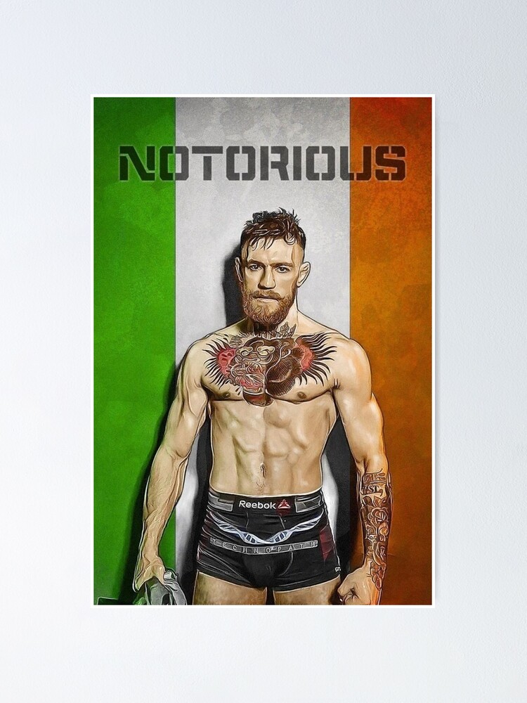 Conor McGregor, irish, champion, fighter, Ultimate Fighting Championship,  UFC Featherweight Champion, HD wallpaper | Peakpx