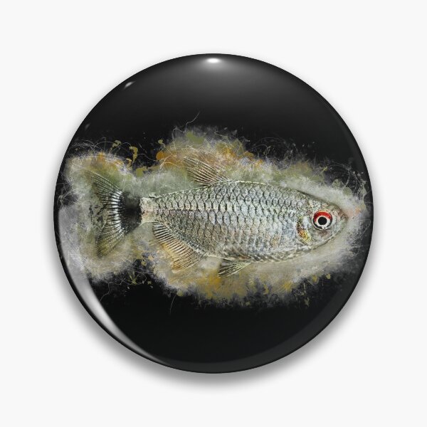 Item preview, Roach Moenkhausia - Moenkhausia sanctaefilomenae designed and sold by AquariumLutter.