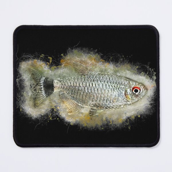 Item preview, Roach Moenkhausia - Moenkhausia sanctaefilomenae designed and sold by AquariumLutter.
