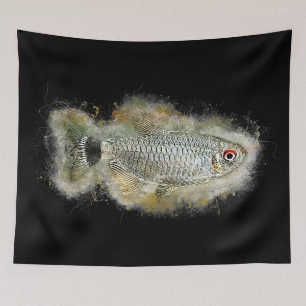 Item preview, Roach Moenkhausia - Moenkhausia sanctaefilomenae designed and sold by AquariumLutter.