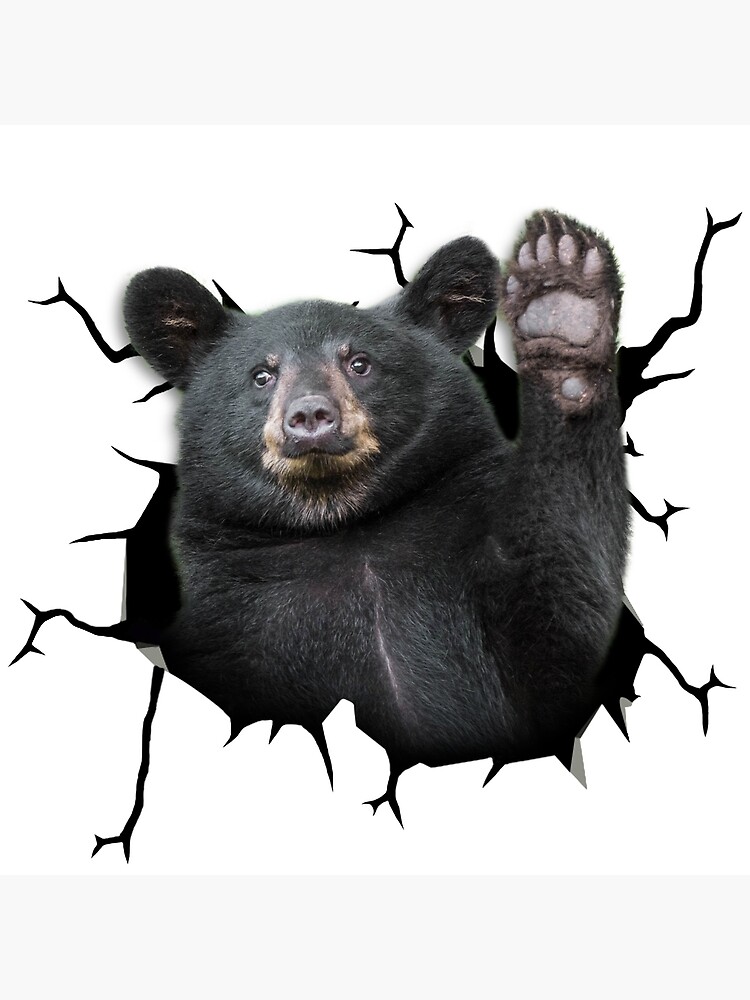 "Black Bear Crack Vinyl Car Decal For Wall Funny Vinyl Car Decal