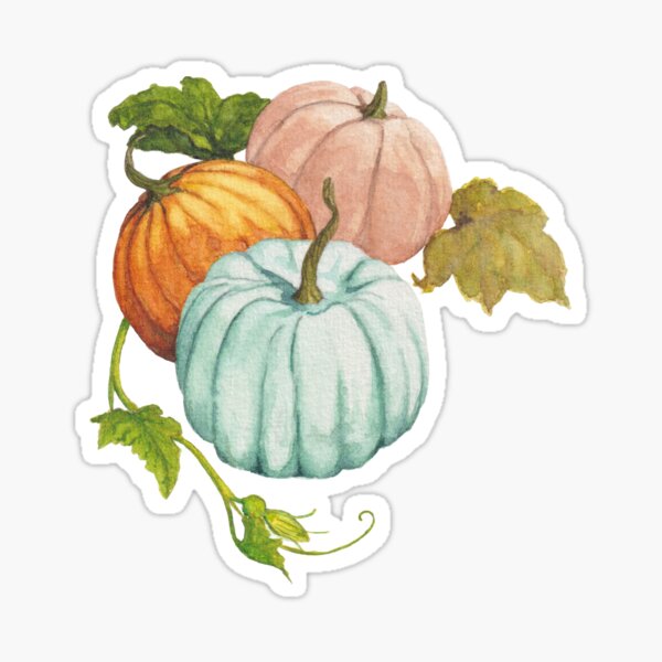 Harvest time: colorful pumpkins on a vine original watercolor Sticker
