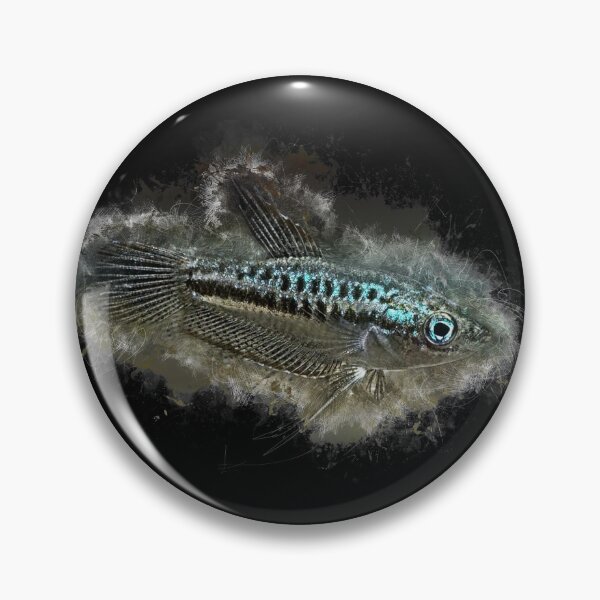 Item preview, Growling dwarf gourami - Trichopsis pumila designed and sold by AquariumLutter.