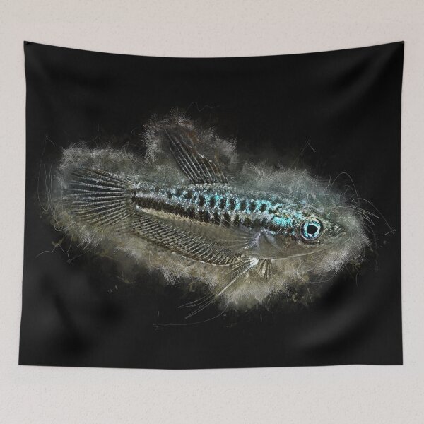 Item preview, Growling dwarf gourami - Trichopsis pumila designed and sold by AquariumLutter.