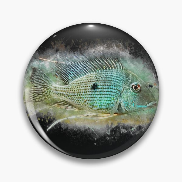 Item preview, Rio Caeté Eartheater - Geophagus sp. Rio Caeté designed and sold by AquariumLutter.