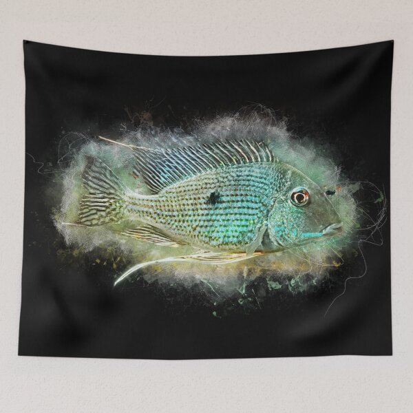 Item preview, Rio Caeté Eartheater - Geophagus sp. Rio Caeté designed and sold by AquariumLutter.