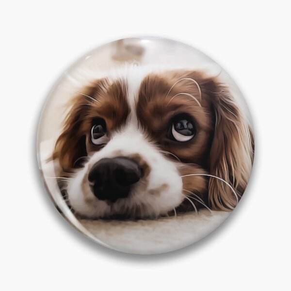 Item preview, sweet cavalier king charles spaniel designed and sold by MikaelSh.