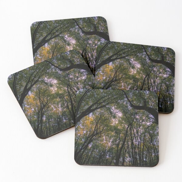 Item preview, Autumn Forest designed and sold by James Rutherford.