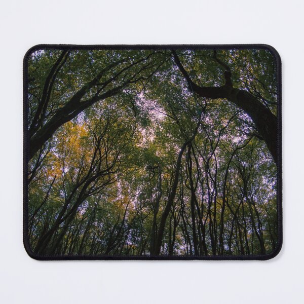 Item preview, Autumn Forest designed and sold by James Rutherford.