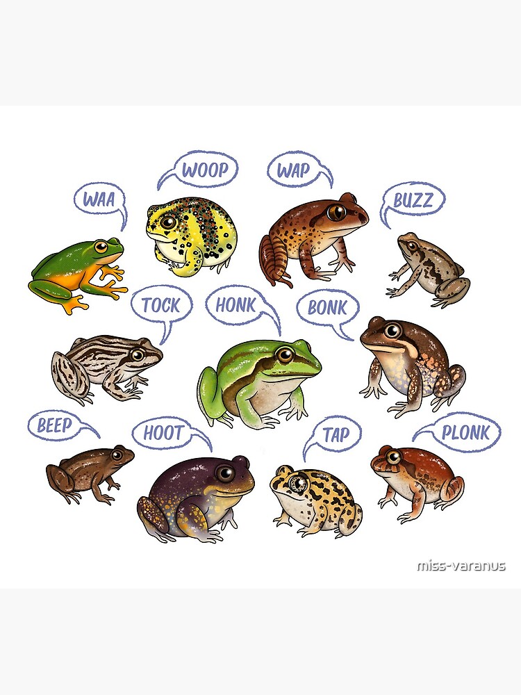 "Frog Love Songs" Greeting Card for Sale by missvaranus Redbubble