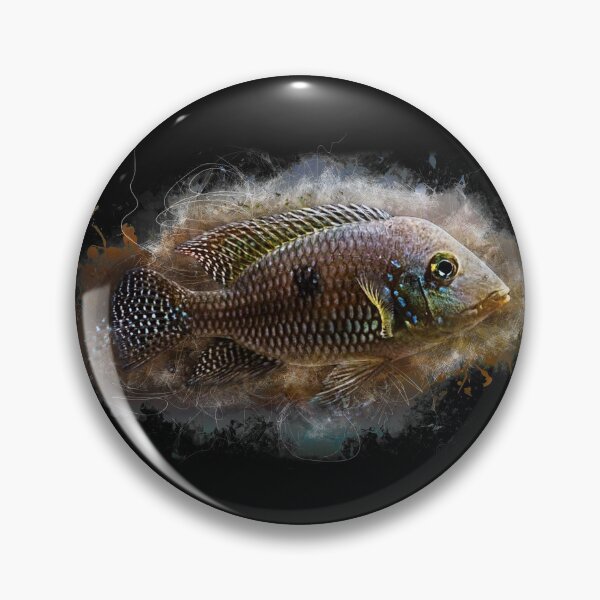 Item preview, Brasil mother-of-pearl cichlid - Geophagus brasiliensis designed and sold by AquariumLutter.