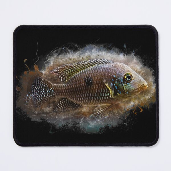 Item preview, Brasil mother-of-pearl cichlid - Geophagus brasiliensis designed and sold by AquariumLutter.