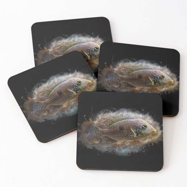 Item preview, Brasil mother-of-pearl cichlid - Geophagus brasiliensis designed and sold by AquariumLutter.