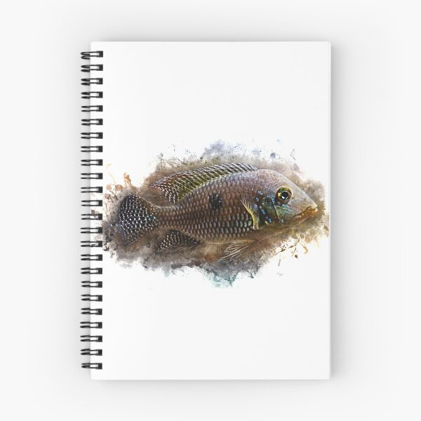 Item preview, Brasil mother-of-pearl cichlid - Geophagus brasiliensis designed and sold by AquariumLutter.