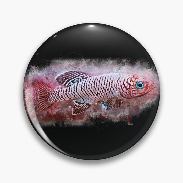 Item preview, Prachtgrundkärpfling orchids - Nothobranchius eggersi designed and sold by AquariumLutter.