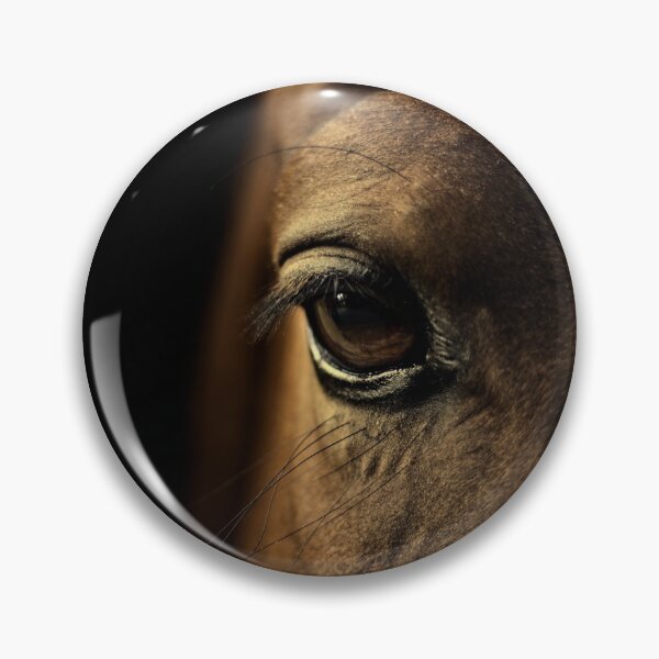 Item preview, Brown Horse - Eye - Beautiful Equine photography designed and sold by Ingrid Beddoes Photography.