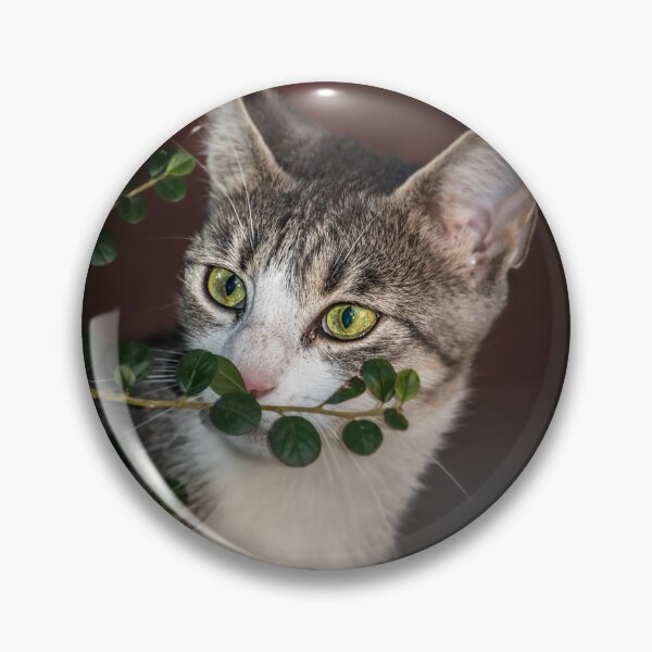 Item preview, cat diva designed and sold by roasted-peanuts.