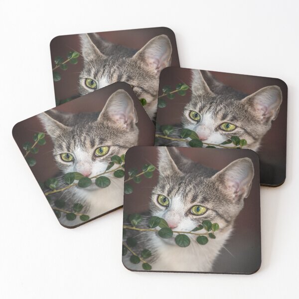Item preview, cat diva designed and sold by roasted-peanuts.
