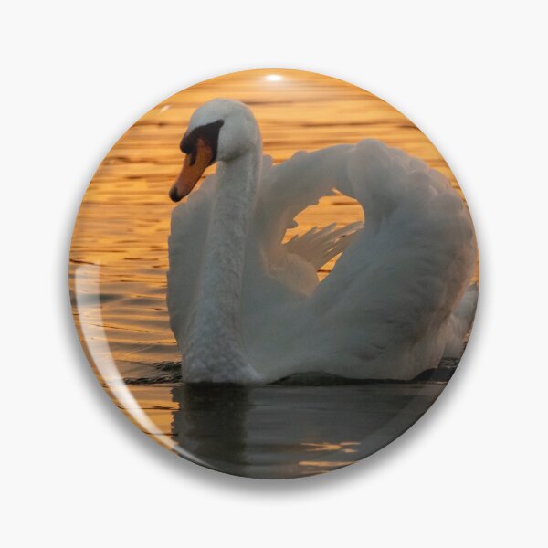 Item preview, Sunset swan on a lake designed and sold by iCimages.net.