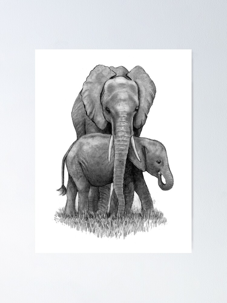 KPM Zoo Babies Digital Stamps - Etsy | Zoo drawing, Digital stamps, Easy  drawings