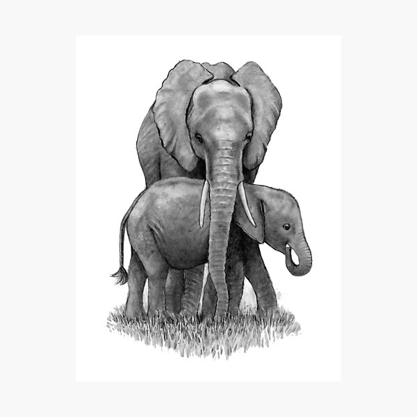 Download Elephant, Baby Elephant, Animal. Royalty-Free Stock Illustration  Image - Pixabay