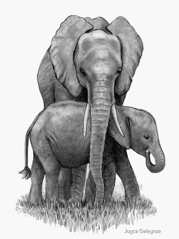Sticker Bébé éléphant d'Afrique