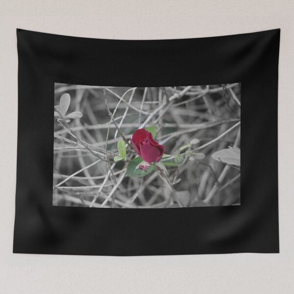 Item preview, Small Red Climbing Rose Bud Focal Black and White designed and sold by JariHawk.