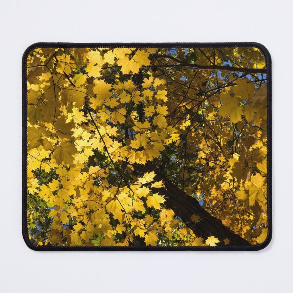Item preview, Golden Canopy - Look Up to the Trees and Enjoy Autumn - Vertical Right designed and sold by Georgia Mizuleva.