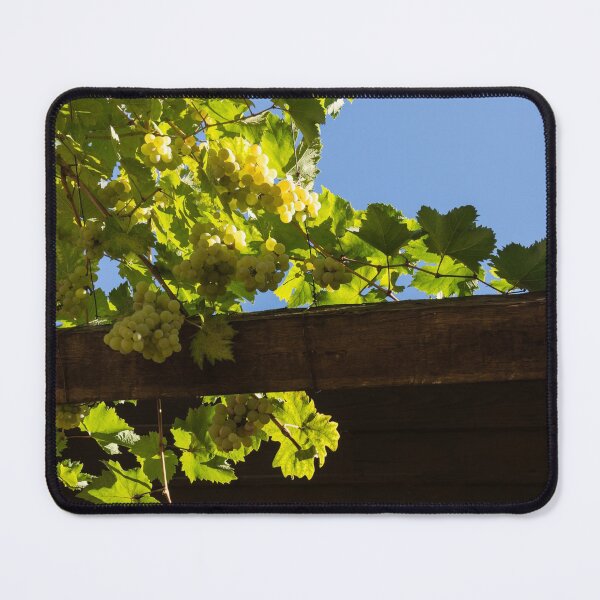 Item preview, Overhead Grape Harvest - Summertime Dreaming of Fine Wines designed and sold by Georgia Mizuleva.