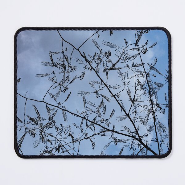 Item preview, Graceful Lace in the Sky - Mimosa Leaves and Buds Against Dusk Clouds - Vertical View Upwards Right designed and sold by Georgia Mizuleva.
