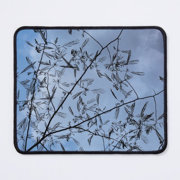 Item preview, Graceful Lace in the Sky - Mimosa Leaves and Buds Against Dusk Clouds - Vertical View Upwards Left designed and sold by Georgia Mizuleva.