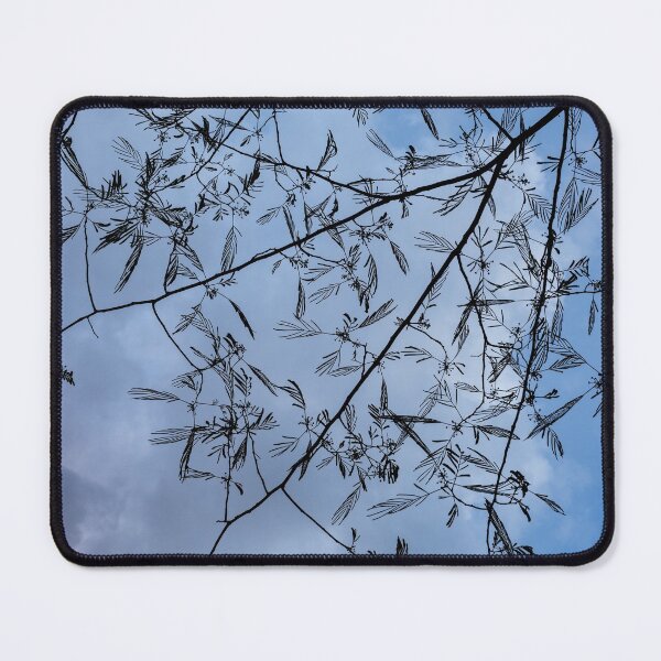 Item preview, Graceful Lace in the Sky - Mimosa Leaves and Buds Against Dusk Clouds - Vertical View Downwards Right designed and sold by Georgia Mizuleva.