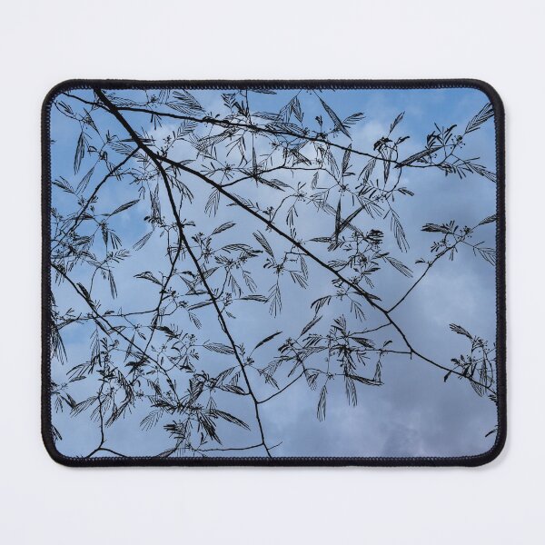 Item preview, Graceful Lace in the Sky - Mimosa Leaves and Buds Against Dusk Clouds - Horizontal View Downwards Left designed and sold by Georgia Mizuleva.