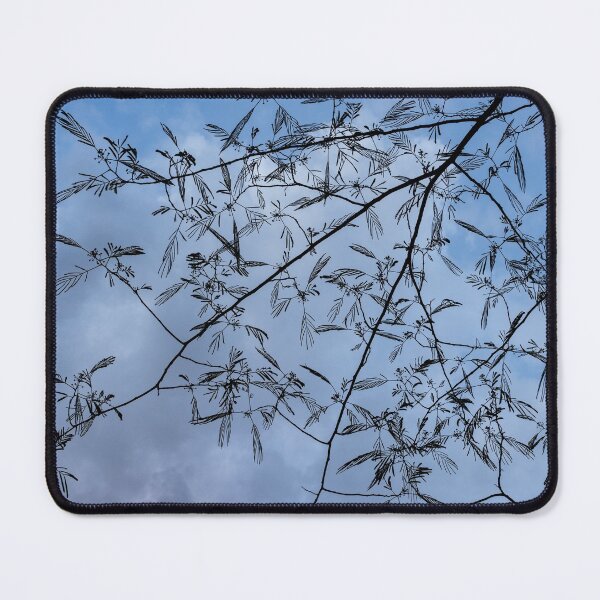 Item preview, Graceful Lace in the Sky - Mimosa Leaves and Buds Against Dusk Clouds - Horizontal View Downwards Right designed and sold by Georgia Mizuleva.