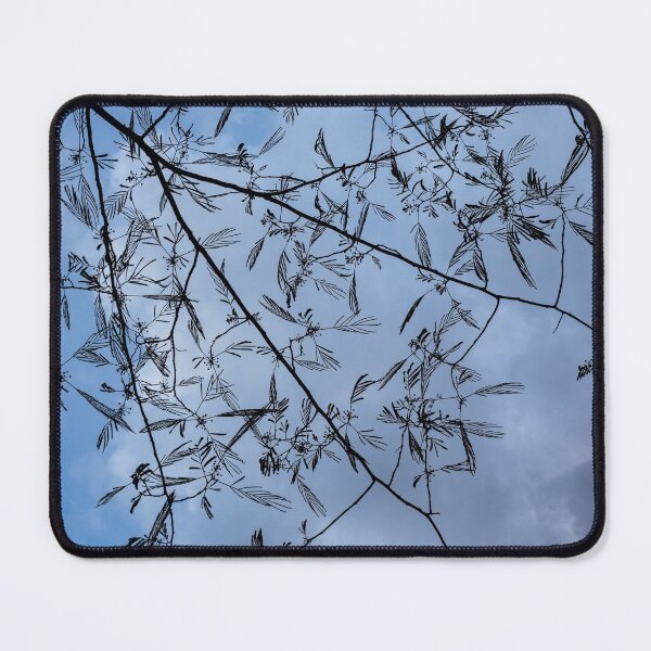 Item preview, Graceful Lace in the Sky - Mimosa Leaves and Buds Against Dusk Clouds - Vertical View Downwards Left designed and sold by Georgia Mizuleva.