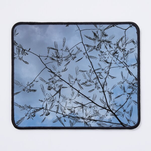 Item preview, Graceful Lace in the Sky - Mimosa Leaves and Buds Against Dusk Clouds - Horizontal View Upwards Right designed and sold by Georgia Mizuleva.