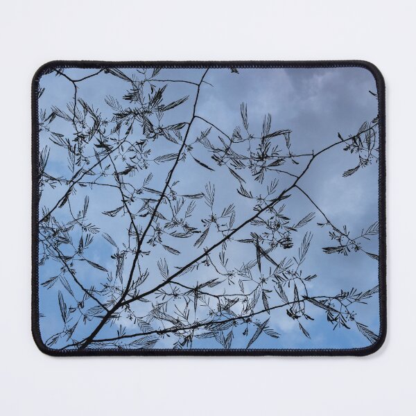 Item preview, Graceful Lace in the Sky - Mimosa Leaves and Buds Against Dusk Clouds - Horizontal View Upwards Left designed and sold by Georgia Mizuleva.