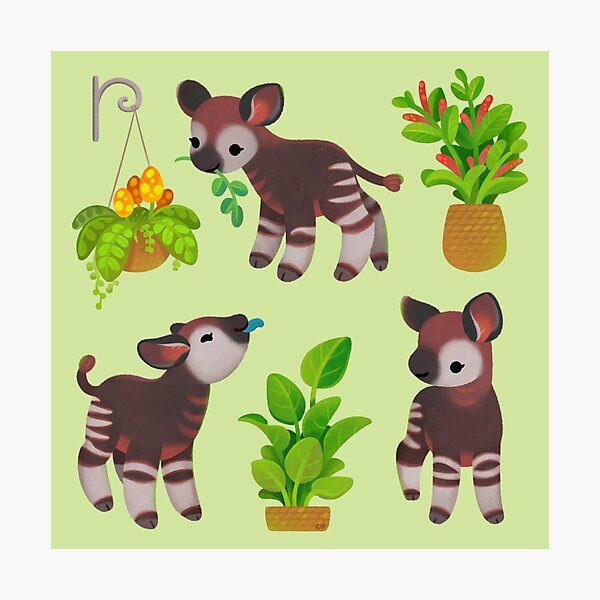 Aperçu de l'œuvre Okapi créée et vendue par pikaole.