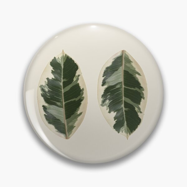 Item preview, Ficus Elastica Variegata designed and sold by mooneko.